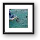 Dolphins at Sea Aquarium Framed Print