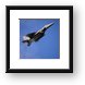 F-15E Strike Eagle Framed Print