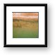 Montrose Beach Dog Park Framed Print