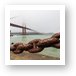 Golden Gate Bridge Chain Art Print
