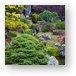 Cascade Waterfall - Japanese Tea Garden Metal Print
