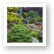 Cascade Waterfall - Japanese Tea Garden Art Print