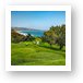 Torrey Pines Golf Course North 6th Hole Art Print
