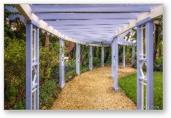 License: Pergola along the path in Queen Elizabeth II Botanic Park