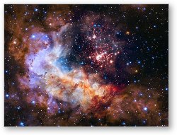 License: Westerlund 2 - Hubble 25th Anniversary Image