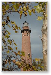 License: Fall Leaves around Little Sable Point Lighthouse