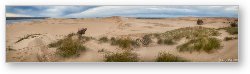 License: Silver Lake Sand Dunes Panoramic