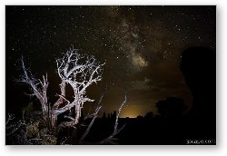 License: Milky Way over Arches National Park
