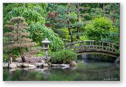 License: Japanese Garden