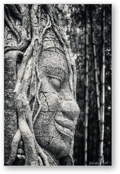 License: Ancient Buddha Stone Head
