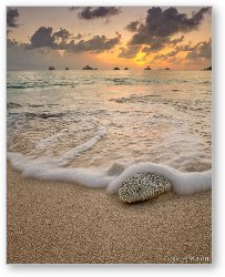 License: Grand Cayman Beach Coral Waves at Sunset