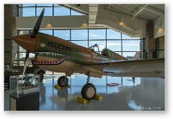 License: Curtiss P-40 Warhawk