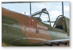 License: Curtiss P-40 Warhawk nose art