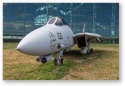 License: Grumman F-14D Super Tomcat