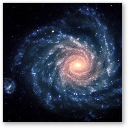 License: Spiral galaxy NGC 1232