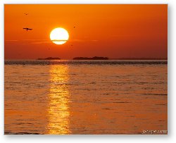 License: Florida Keys Sunset