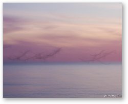 License: Pastel abstract - flying seagulls at dusk