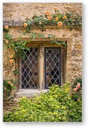 License: Lacock Abbey Window