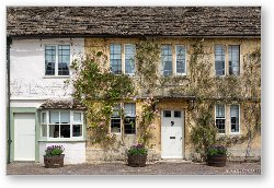 License: Climbing Roses in Lacock Village