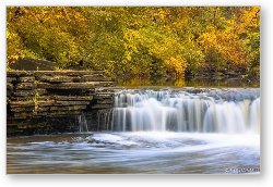 License: Waterfall Glen, Lemont, IL