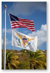 License: US and USVI Flags