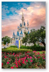 License: Cinderella Castle at Dawn