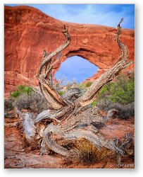 License: North Window, Arches National Park