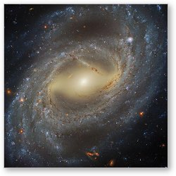 License: NGC 7329 Barred Spiral Galaxy in Tucana