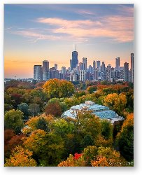 License: Lincoln Park Autumn Aerial