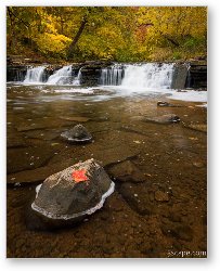 License: Fall Color in Waterfall Glen