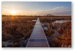 License: Volo Bog Boardwalk at Dawn