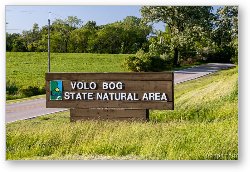 License: Volo Bog State Natural Area