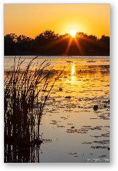 License: Sunset over Lily Lake