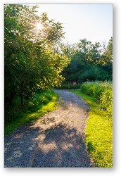 License: Poplar Creek Bike Trail