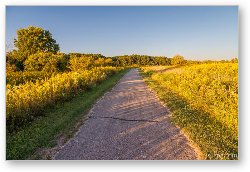 License: Poplar Creek Bike Trail