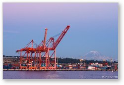 License: Port of Seattle with Mount Rainier