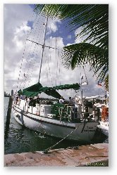License: Sea Explorer sail boat