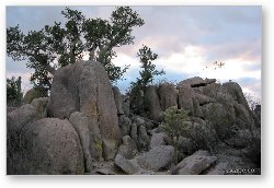 License: Boulder field