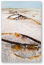 License: Rusting metal on the salt flats 