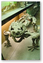 License: Dinosaur bones (Naturhistorisches Museum)