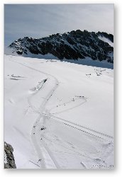 License: Glacier between Monch and Jungfrau