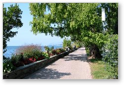 License: Walking path on Lake Geneva (Montreux)