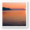 Walking path on Lake Geneva (Montreux) Photograph - Fine Art Prints by ...