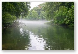 License: Foggy morning on the river