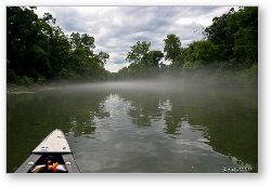 License: Fog on the Eleven Point River