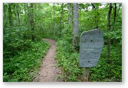 License: Trail to the cave at Whites Creek