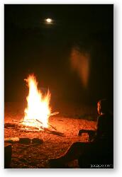 License: Campfire, moon, and Falke