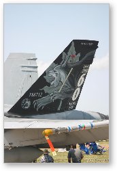 License: F-18 Hornet tail design (Canadian)