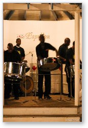 License: The Maple Leaves - steel drum band