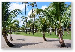 License: The Four Season's Resort, Nevis